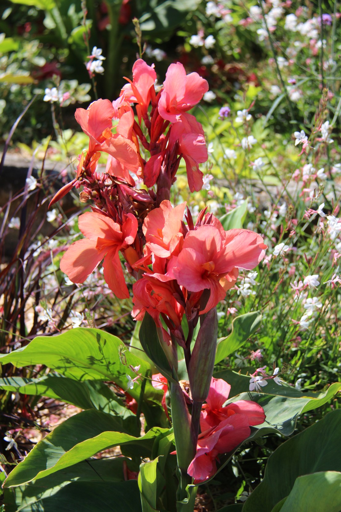 E937371D-6B8A-4C77-A261-15F991A1C45A