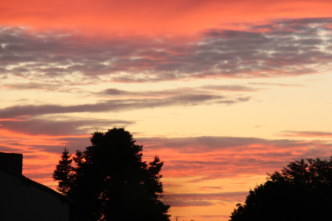 EB63A2F9-543B-4D5C-AA6A-5E720B570BAD