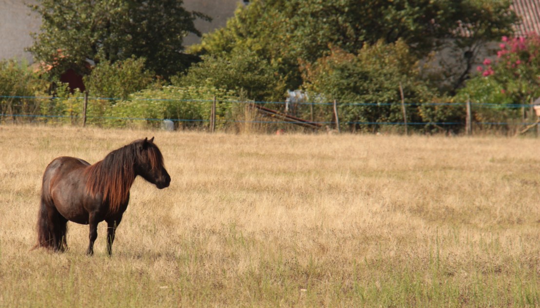 EED4F492-75BC-45F4-B69C-47DB748D6185