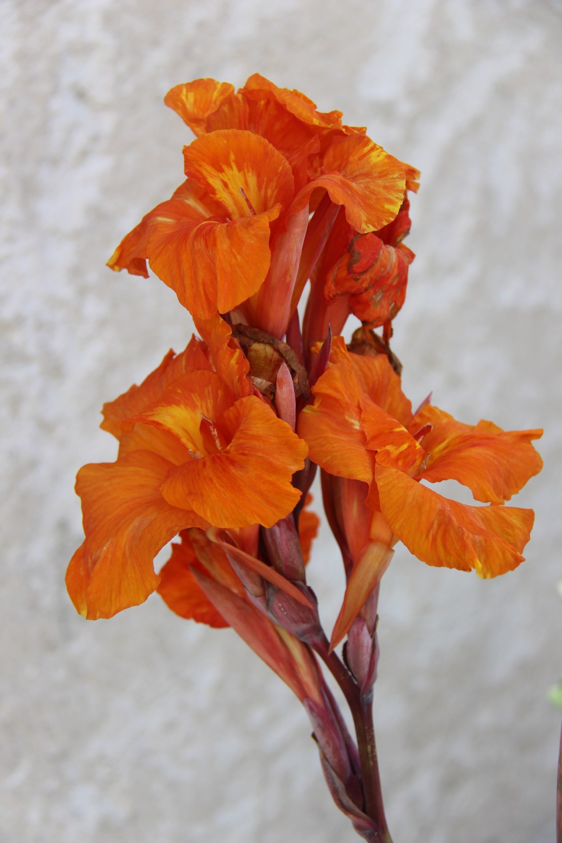 F0995F07-D52E-4106-BABD-FE53432A3169