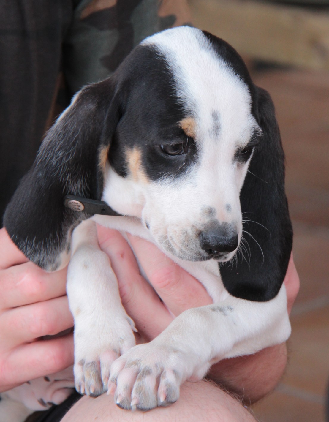 F7B66E30-313F-4B73-BC9D-A05CC17429AC