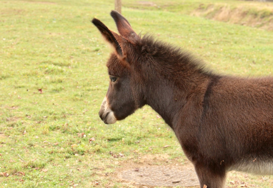 FA98DE1B-0D4C-4FDD-B960-3BA1B42F4496