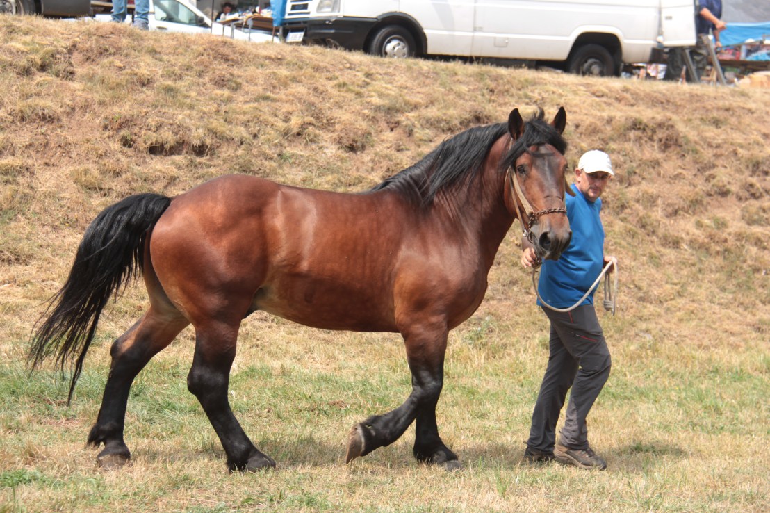 01A9A479-3899-499E-B203-DBA776232806