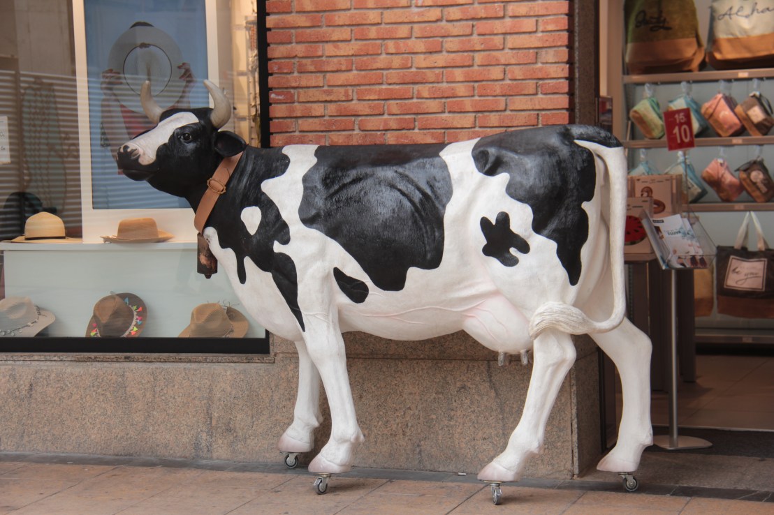 03B4754D-0F45-4B3D-87A2-DAB5632299A6