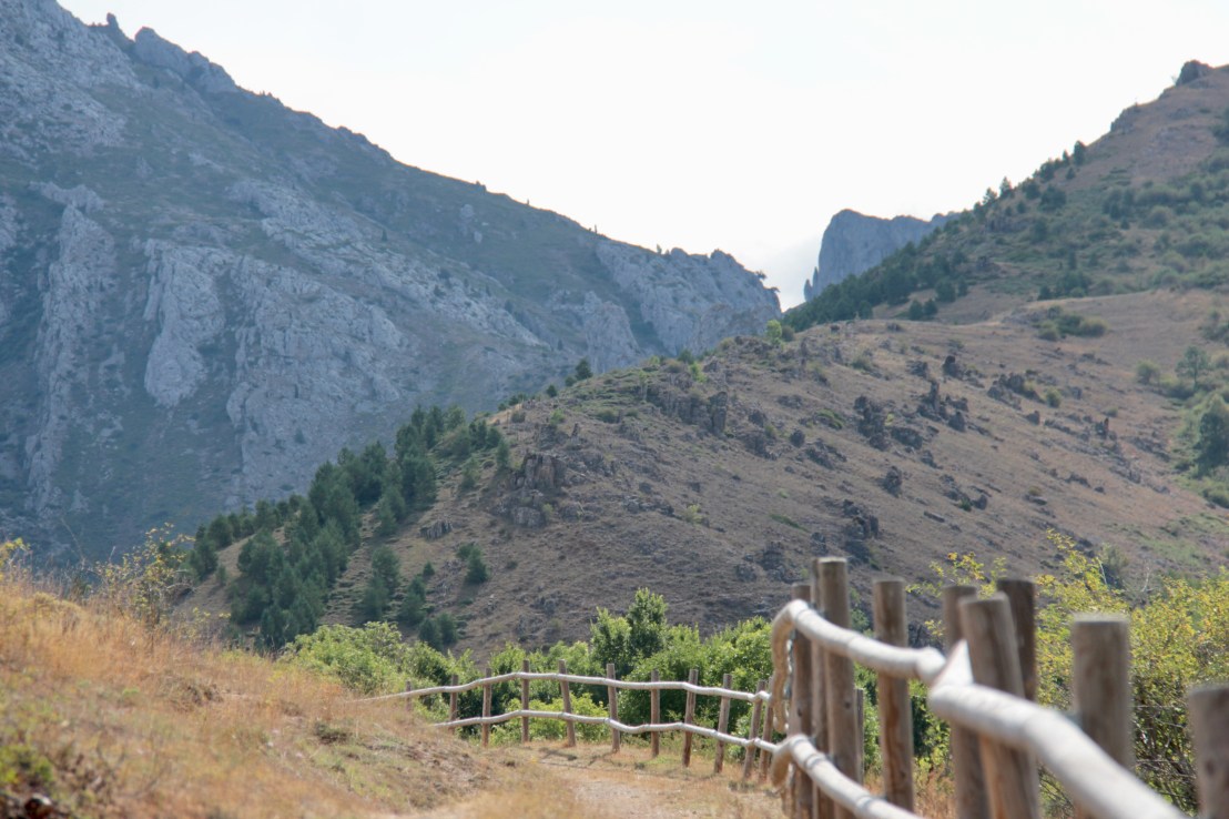 0ADE538D-09C0-4B1B-9A4E-8030A8971C41