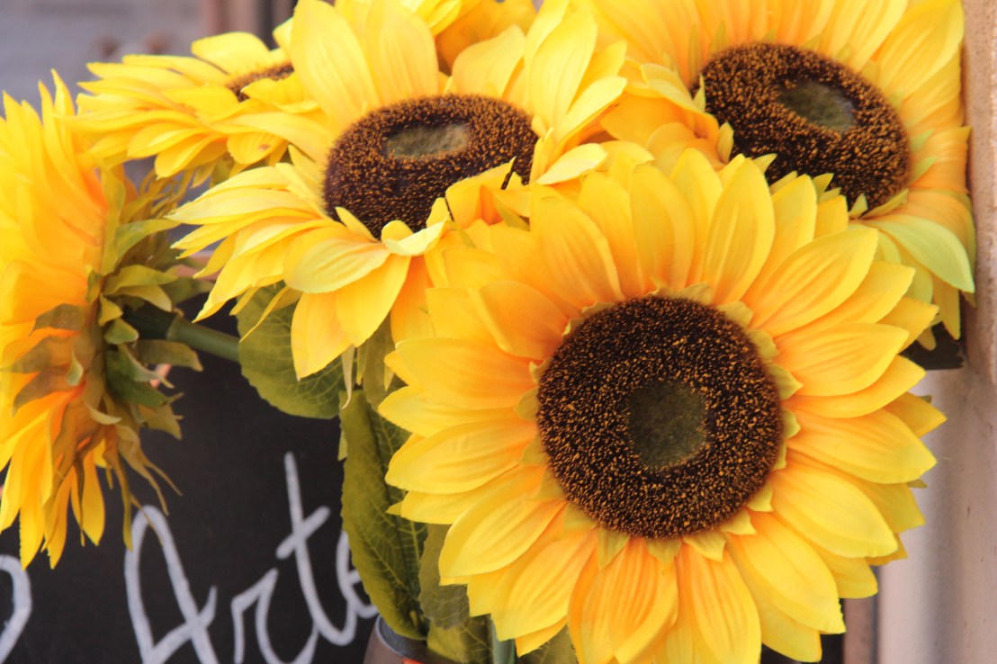 0BD61BCA-F378-4429-B051-3F4FA7BE5F1C