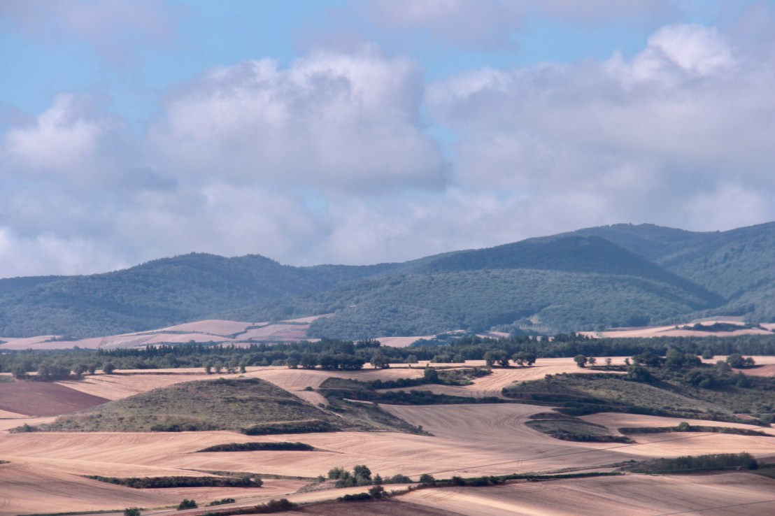 0CB359B6-A56E-47C7-91AE-BE33D87DD9A6