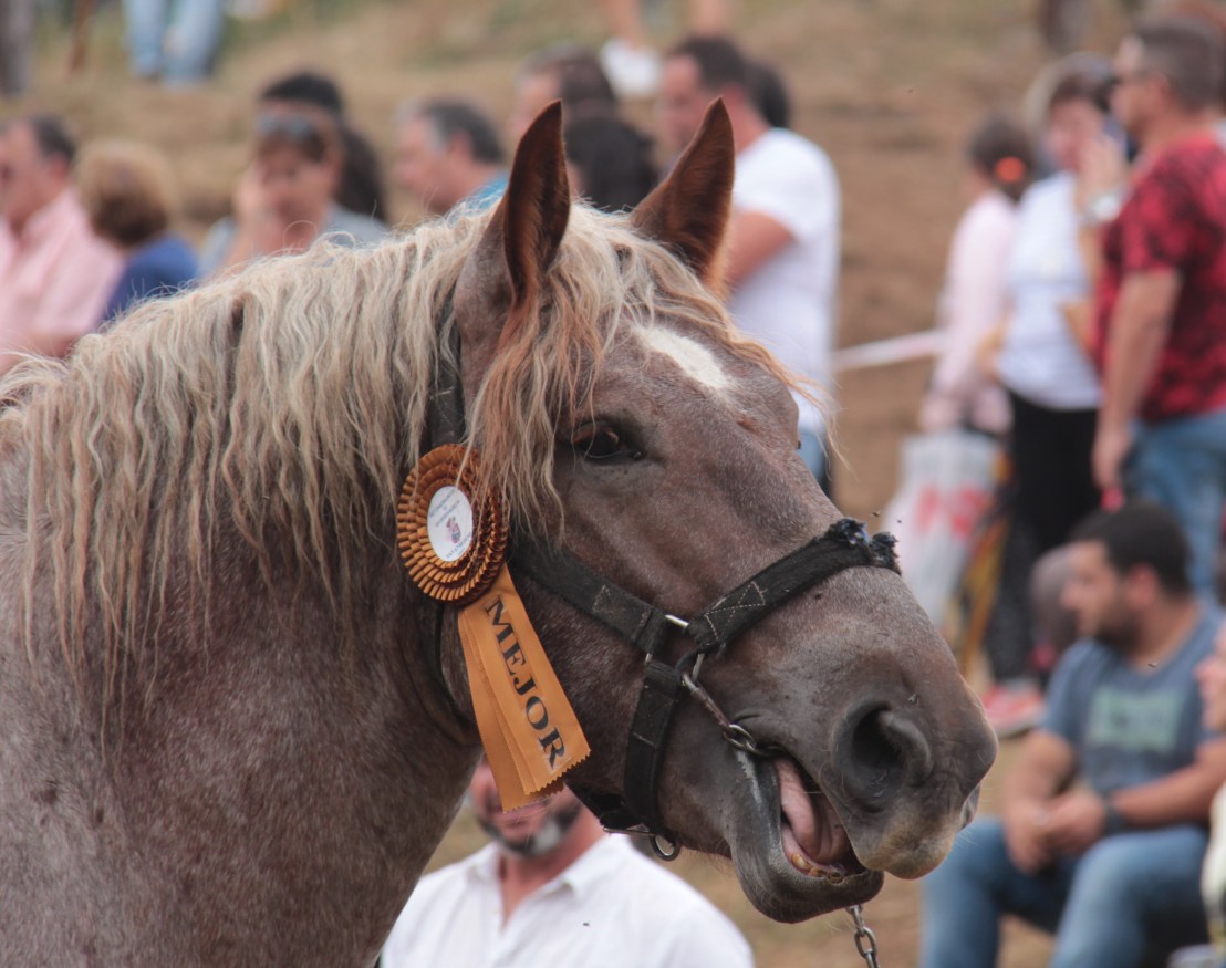 1034700A-715E-4E6F-96E6-5DC05310C11A