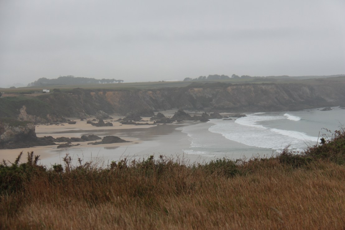 12F972DD-C809-4351-ADC9-EFDA5155EF4A