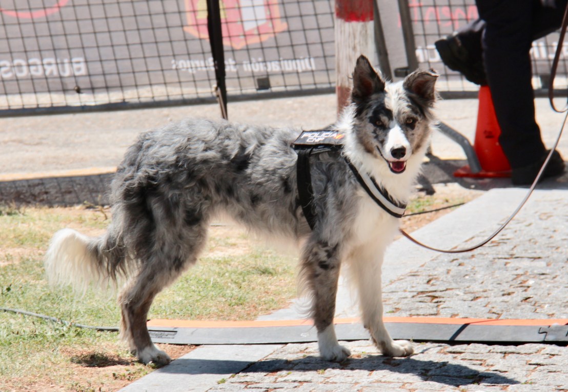 27E4265D-6DF5-48BE-885C-B6F01414FE8E