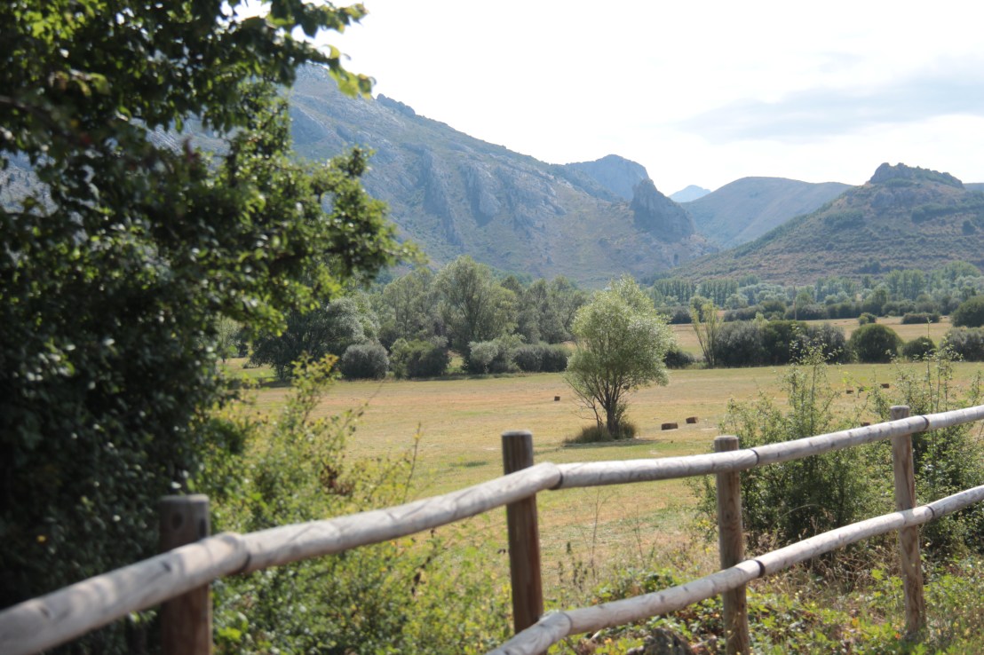 381E4790-8B4A-40FD-B27B-54072D599D27