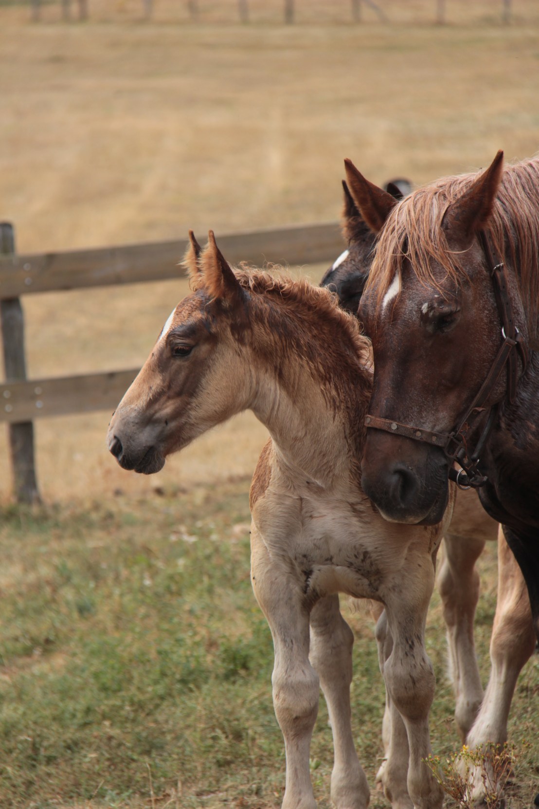 39742EE4-B6BE-4815-8CE3-C431B2CCAD0B