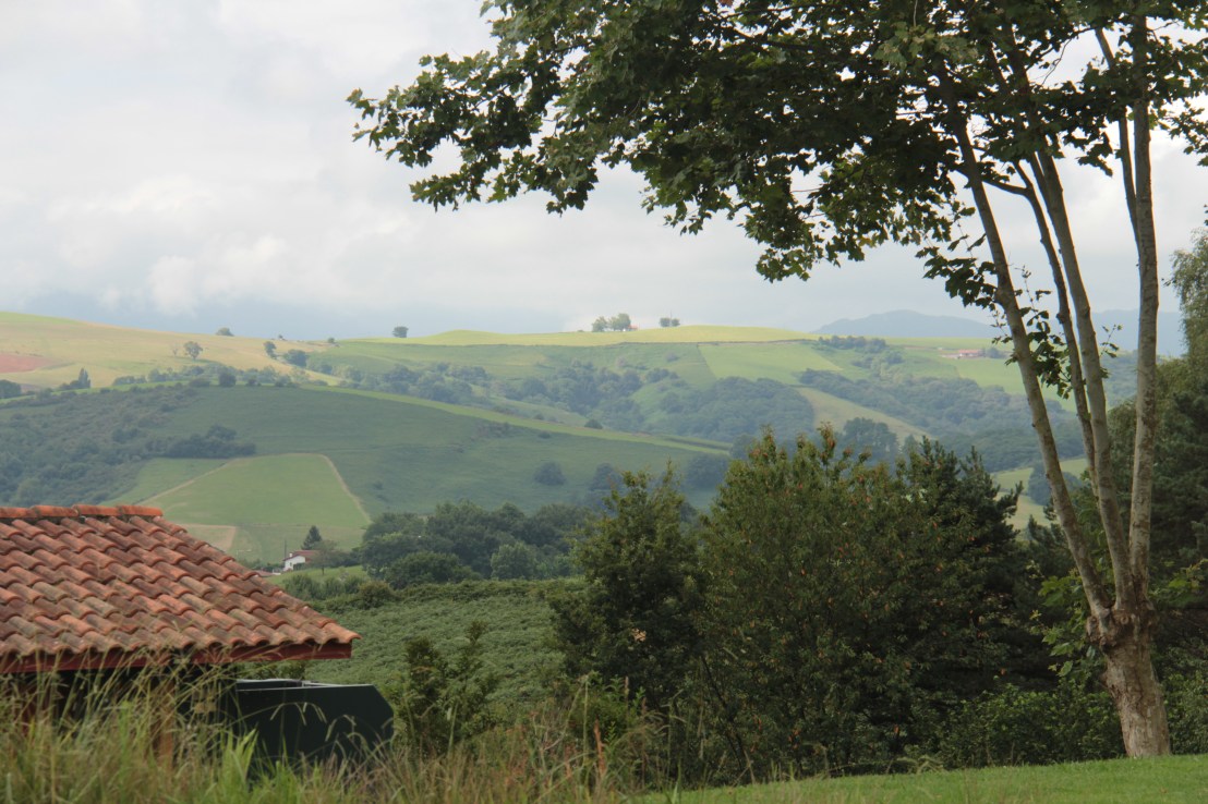 431B9E98-395D-4EBF-A0EB-5366B7FCC087