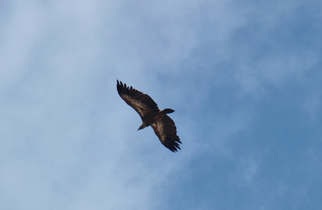 4D298851-A9FD-44FF-B4F6-287A987921DC