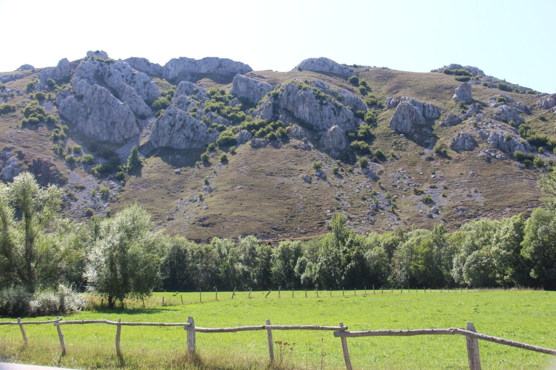 5CF72359-E3D4-4D44-941D-29B89D90A62E