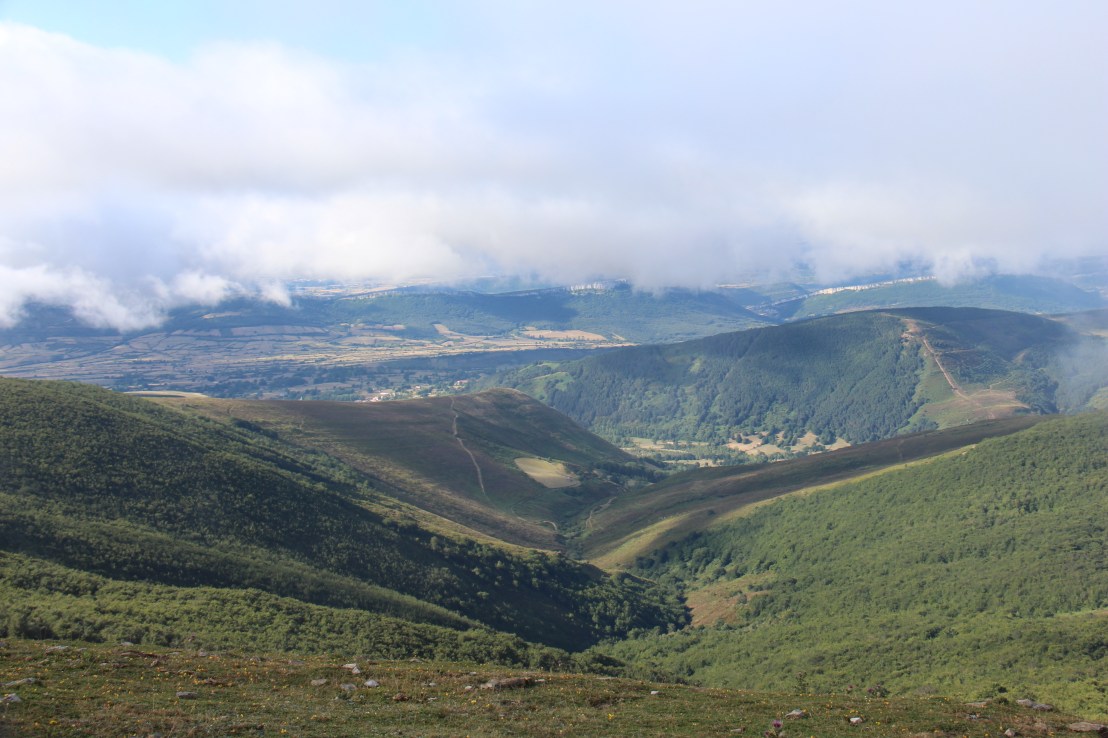 5D47878E-B3AA-4094-9872-F4A4A9A0AFB0