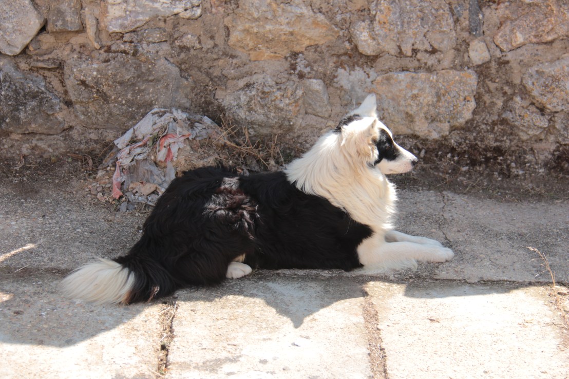 687C9F31-4436-43E9-AC85-D70DB3666302