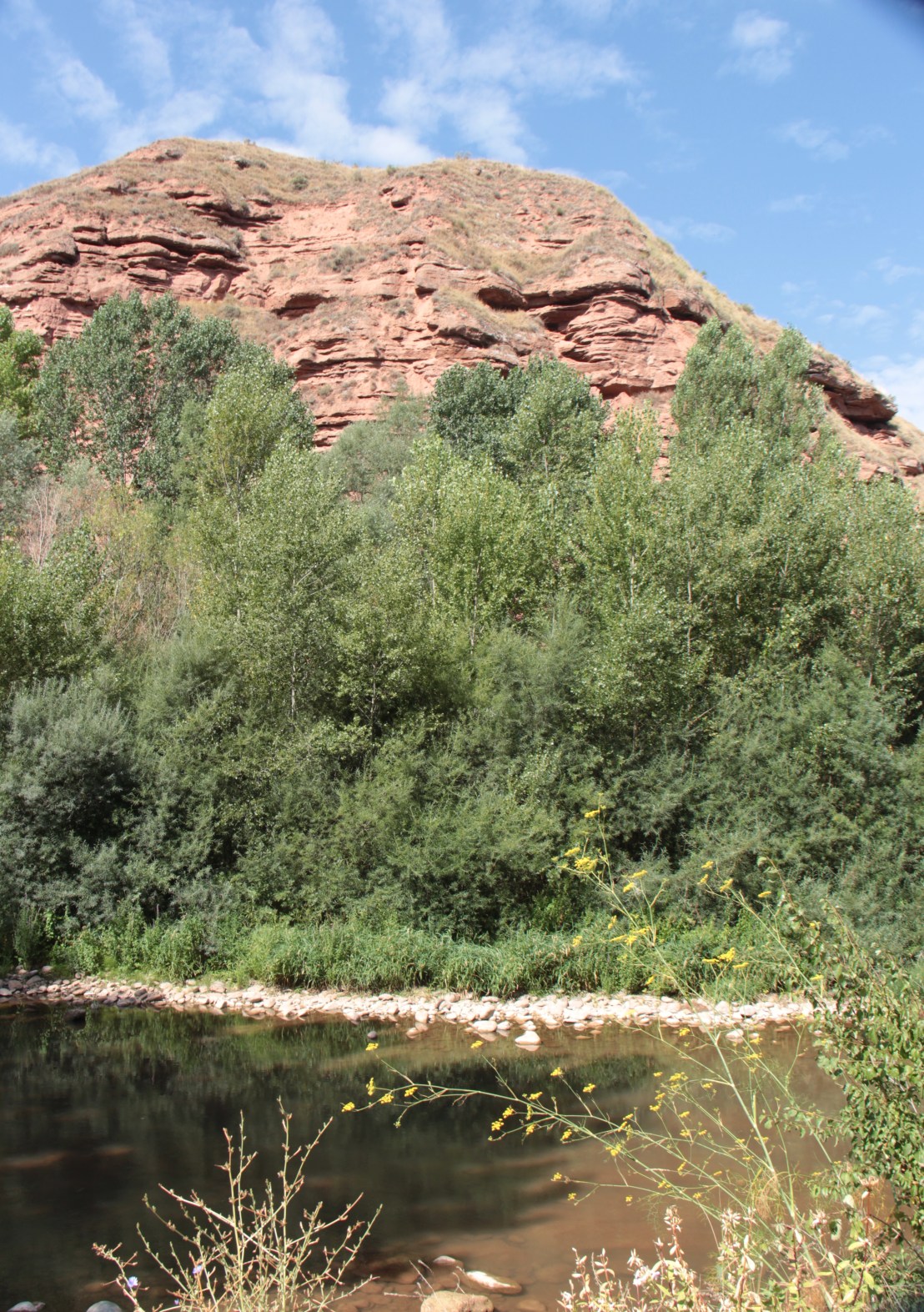 7AEF6932-F164-4B10-BC49-7C430D7939DB