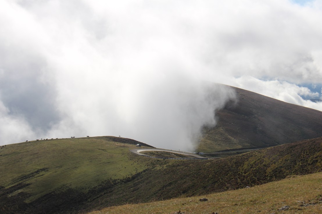 81986A63-FEBC-4D22-BD1D-2CB3C82AA956