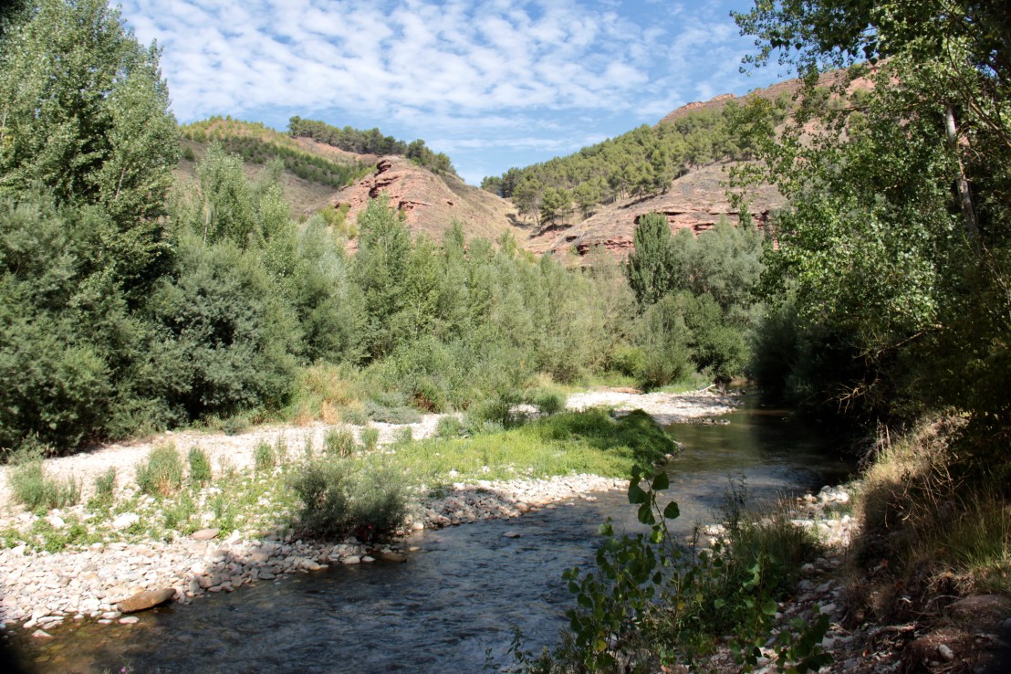 85CECF2B-D181-4C24-95CF-4DAE08FB866F