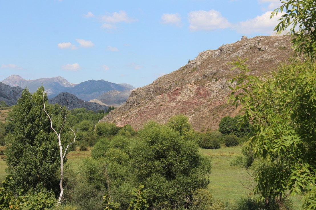 911C7CA9-2ECB-4CBD-8FE9-EBA32949506A