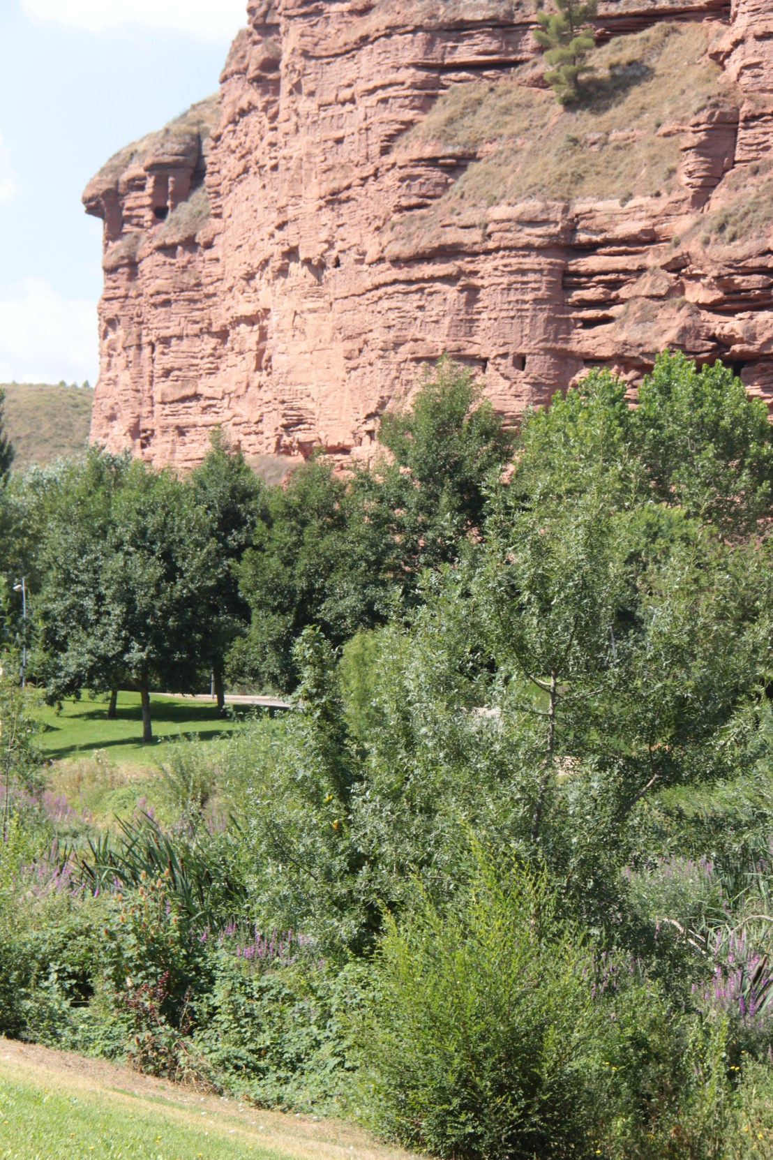 951A932A-A670-43CA-9B76-1ACD219AE82E