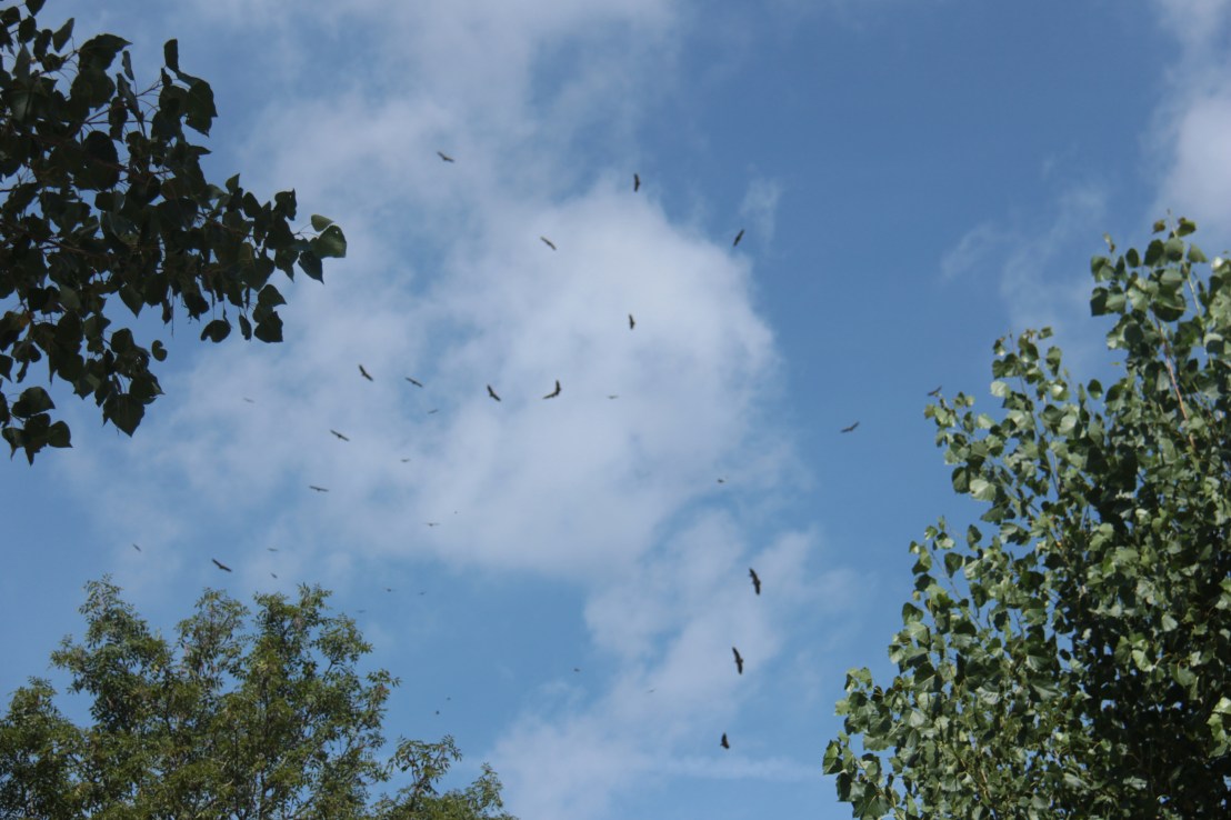 99635AA5-9664-413D-9115-6998577FE4EE