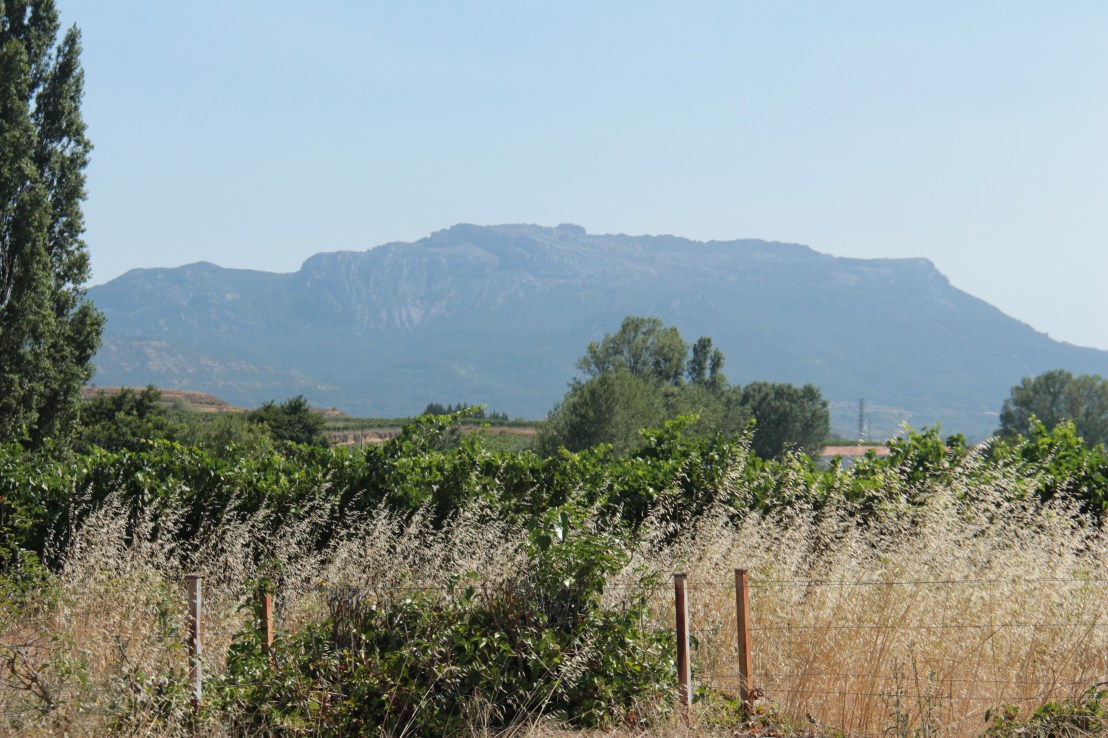 998BFF71-BF03-41D7-83C8-942A1A3D3FF1