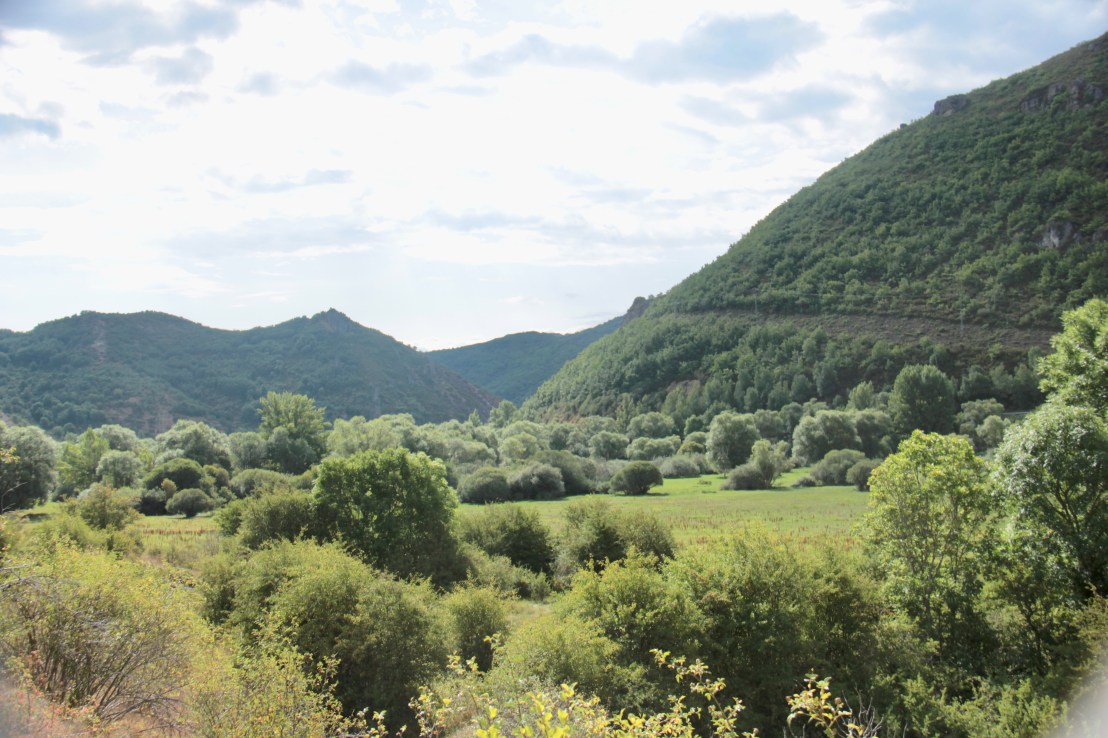 9DE58BA5-40D7-4937-B873-ACBF1BD48E9D