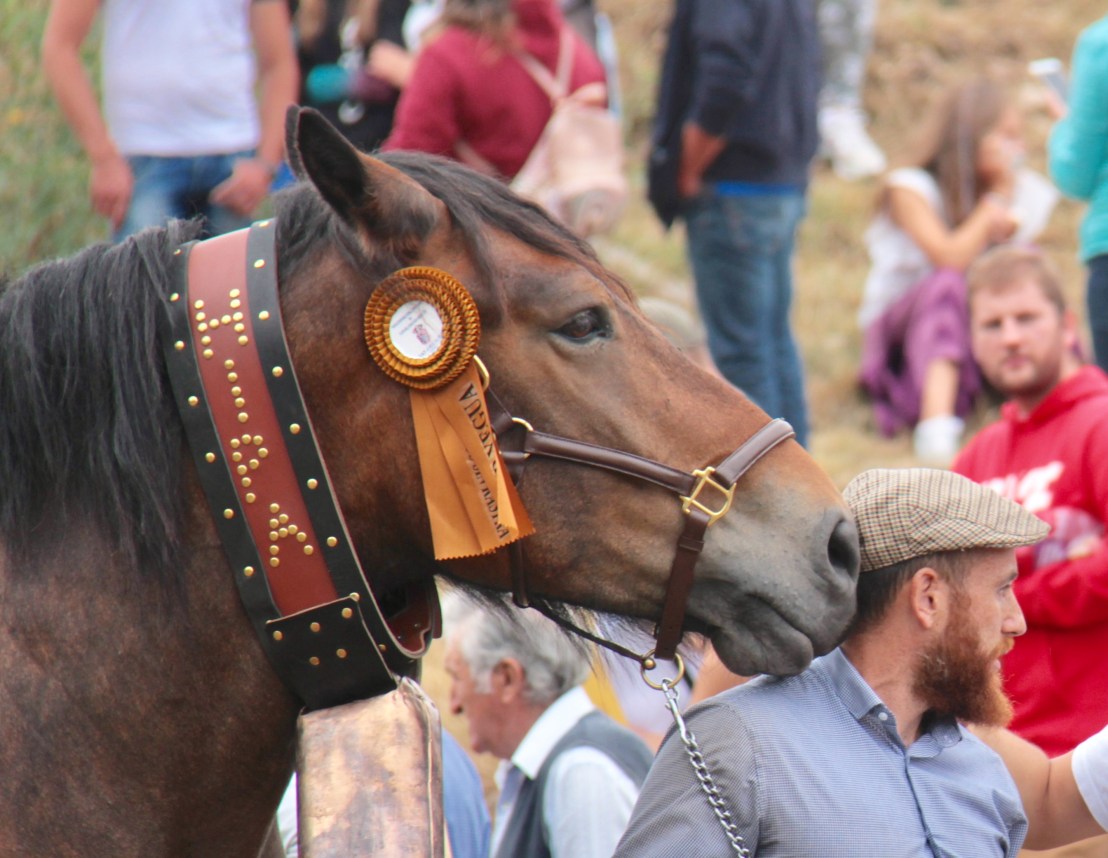 A0E18801-DFAD-4784-9D71-57C127298A7A