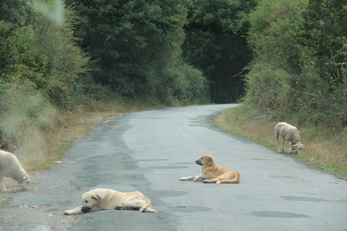 A361569E-9D2B-4E7C-A581-26910ADE3733