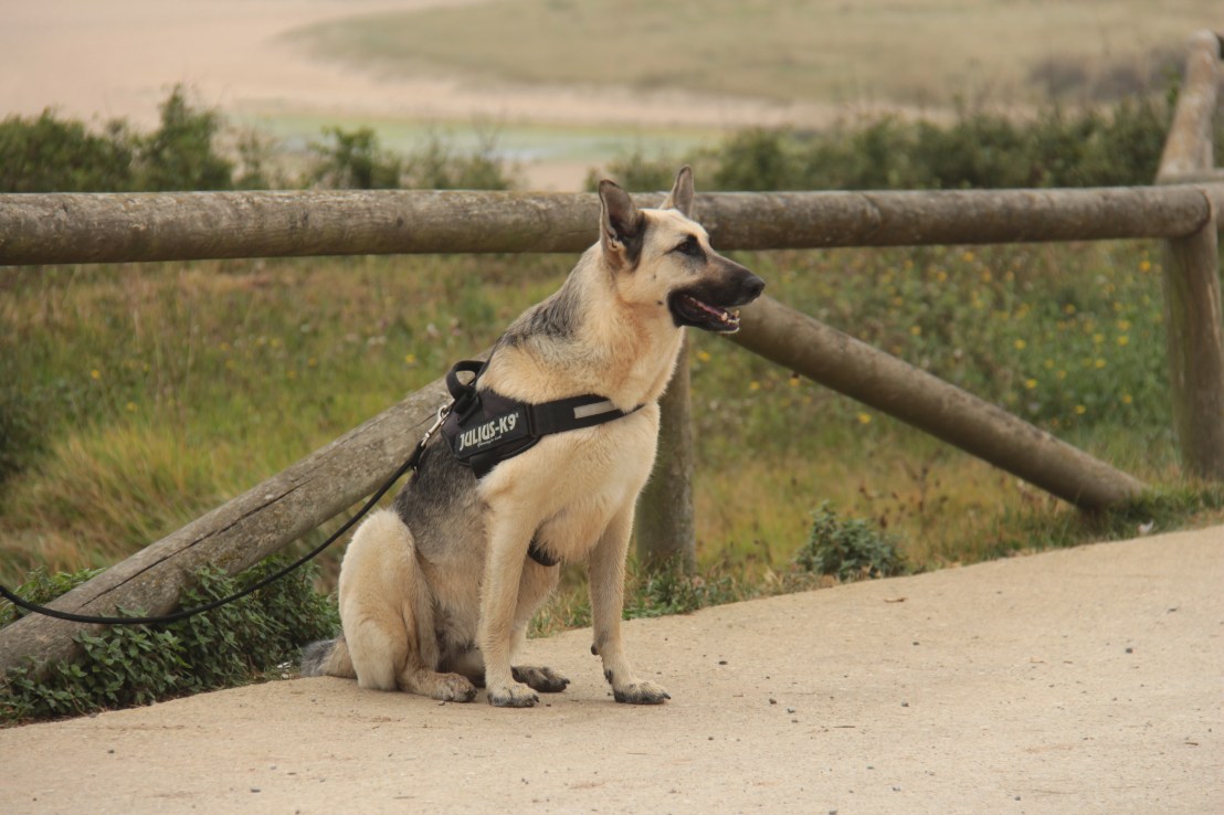 A50DBB8F-0E93-4BFF-88BC-2B8C48A21676