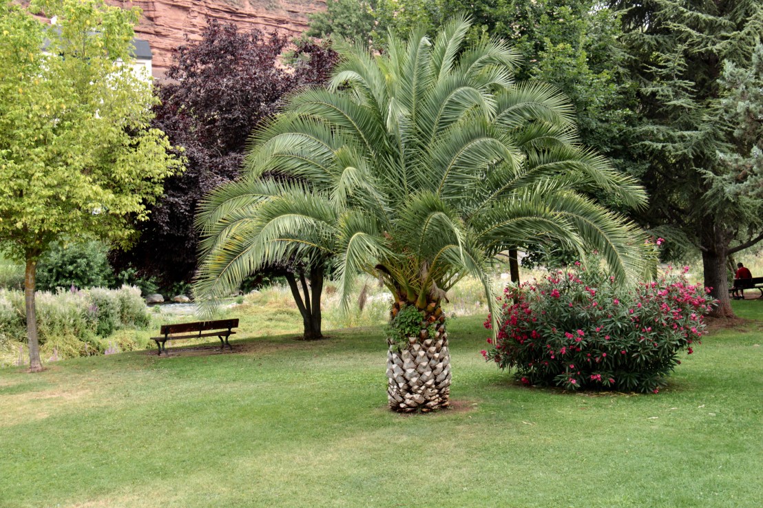 AE6B2880-E9A2-4AF2-85AE-B170D1567645