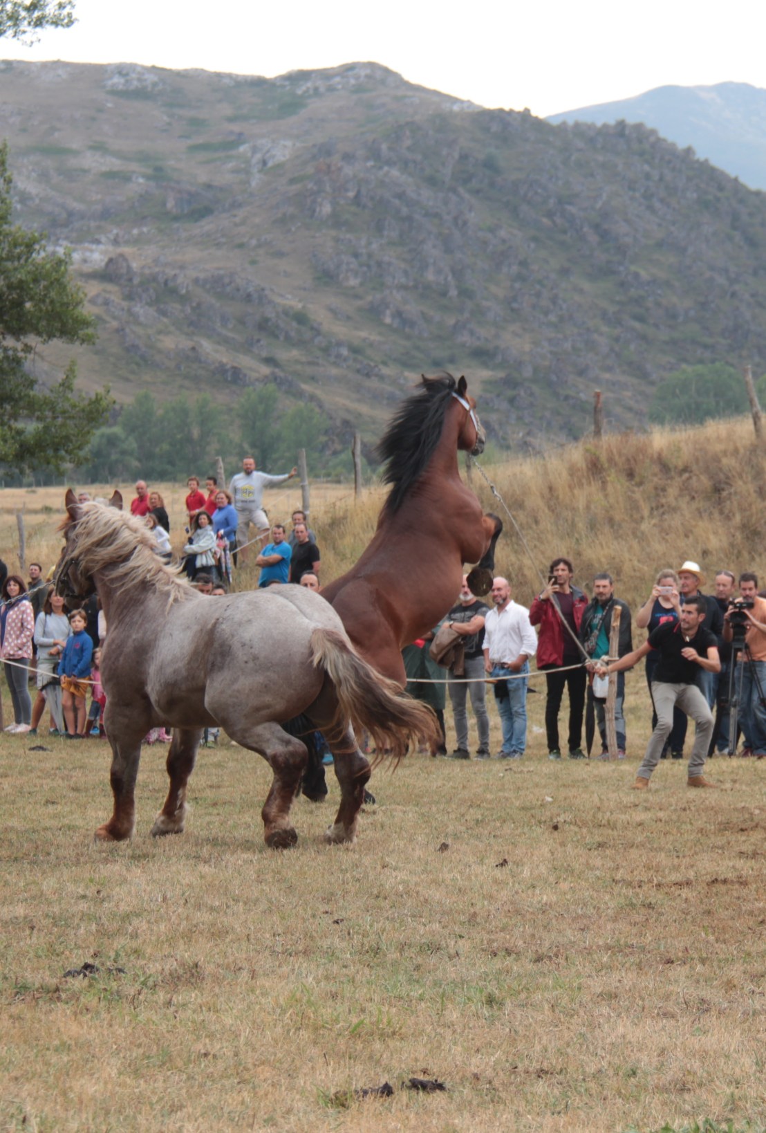 B5C645D3-315D-4030-8539-367FB48CCB28