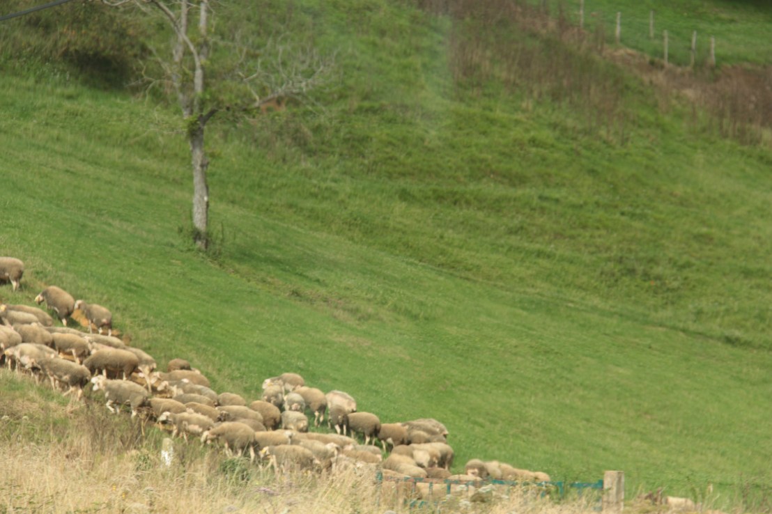 C4E86697-02E2-4A7A-B829-868E20140DFE