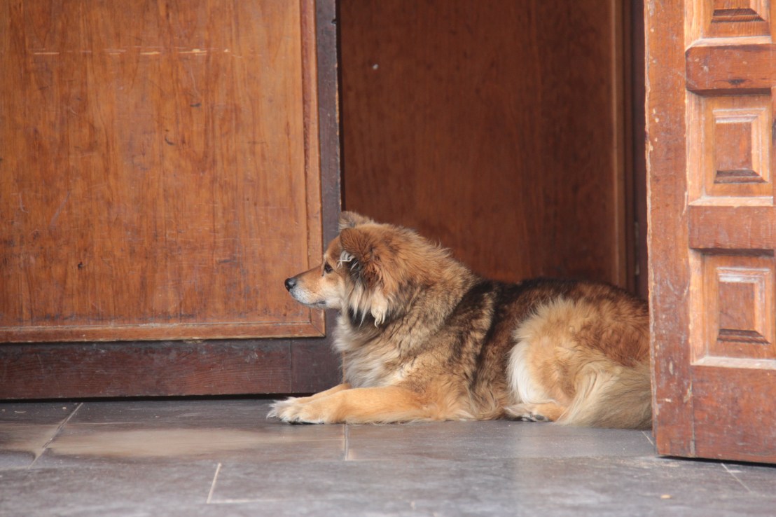 D38FFBE1-870B-45B1-BA97-47A0BFE96A14