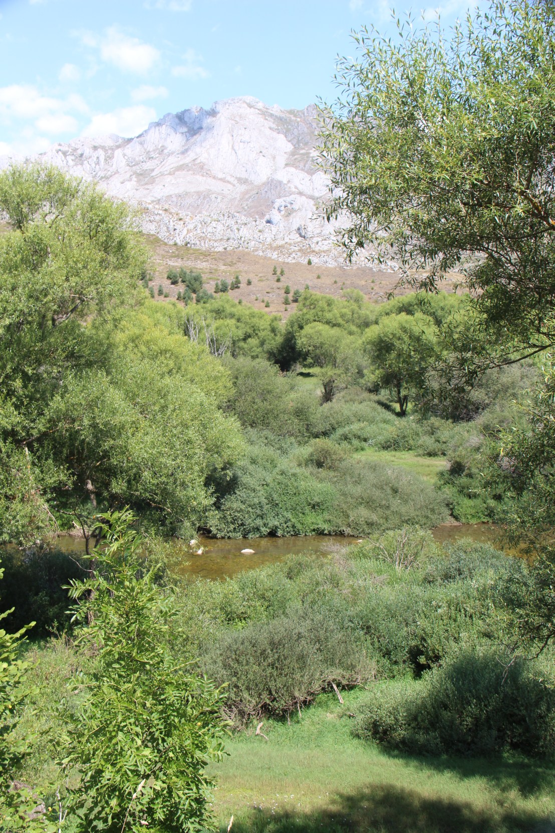 E4CC54CF-1E48-4302-8FBA-A2A26FBAAED3