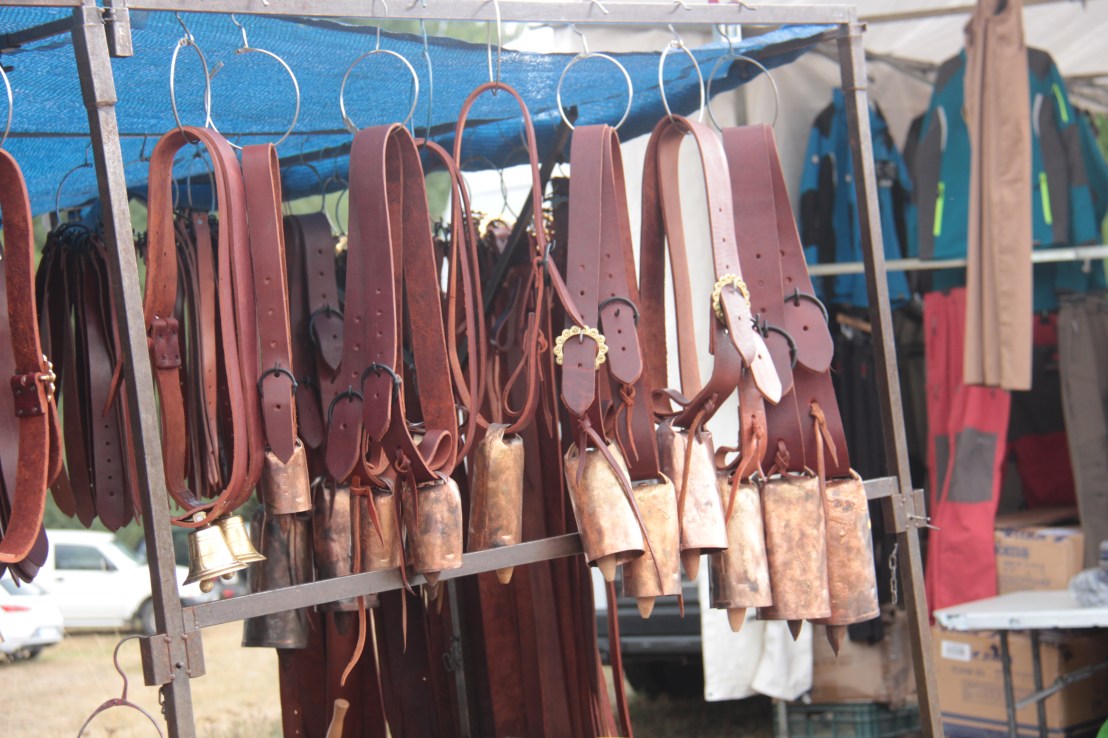 E5A92A20-0596-4D9D-BC3A-AEDAF3317E9E