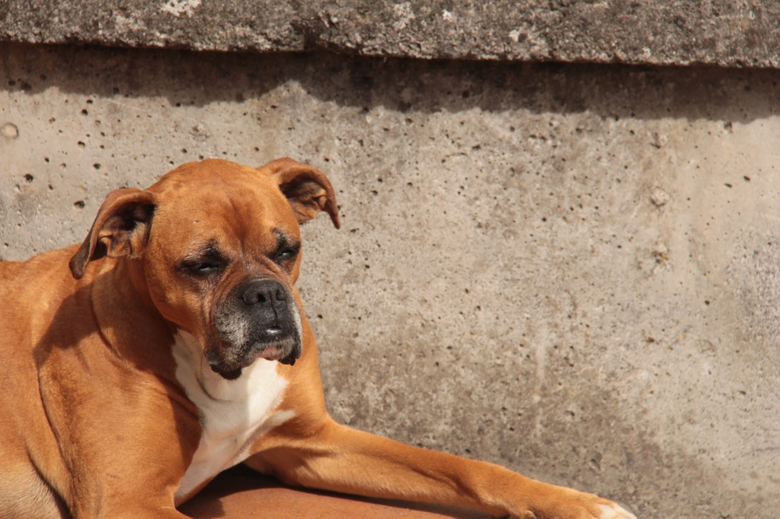 00B690F5-F1A3-4383-84EB-32E0F1D3C0ED