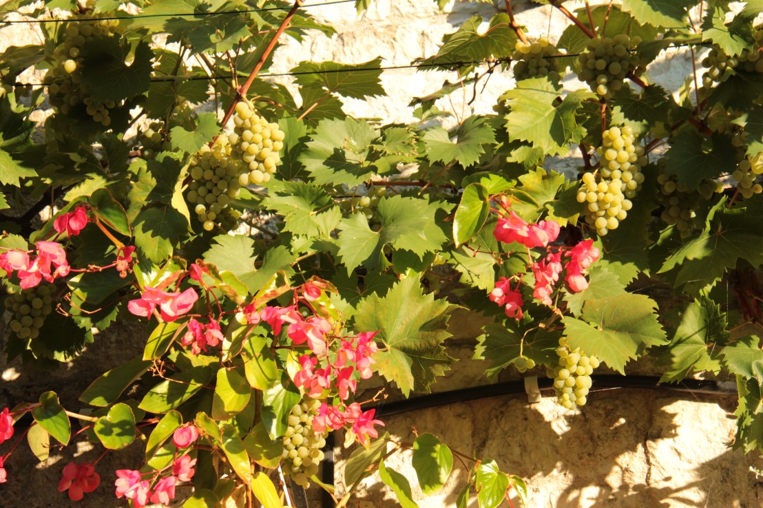 077F1B9F-38CE-45D9-A3A4-AD1B6A016A38