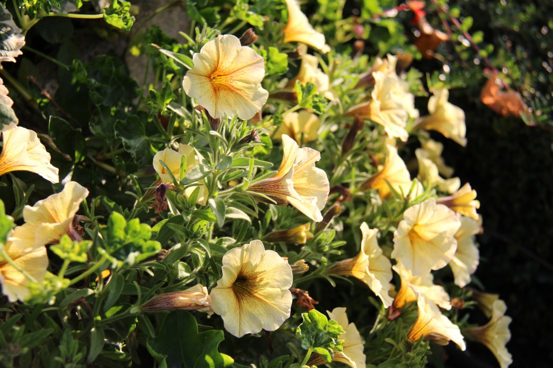 53D03B69-B897-4F04-B58E-A0BF404FE36E