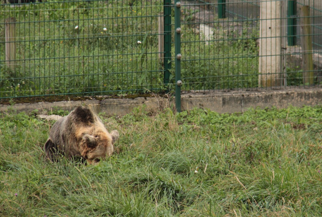 6CB173CD-1587-4697-870D-95E0F844D635