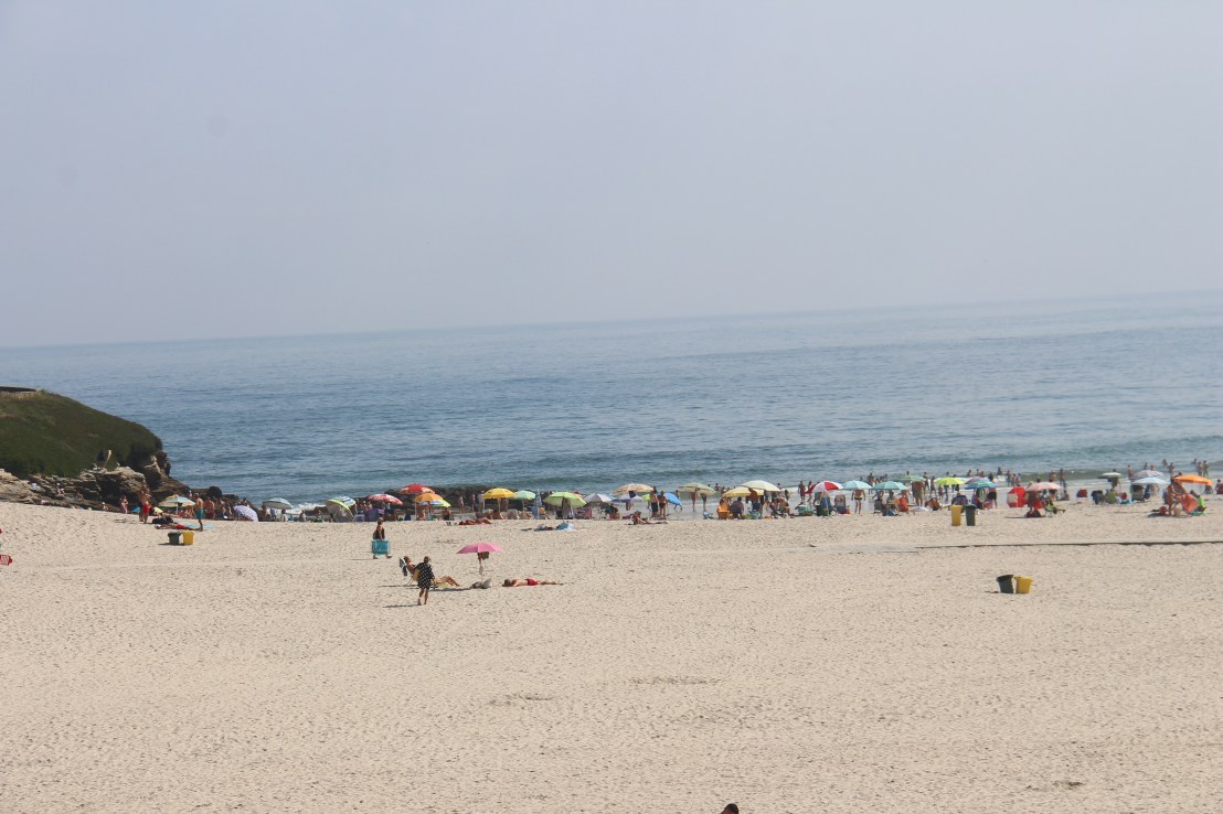 A9E37CC3-4FB4-422B-920F-7F209B472587