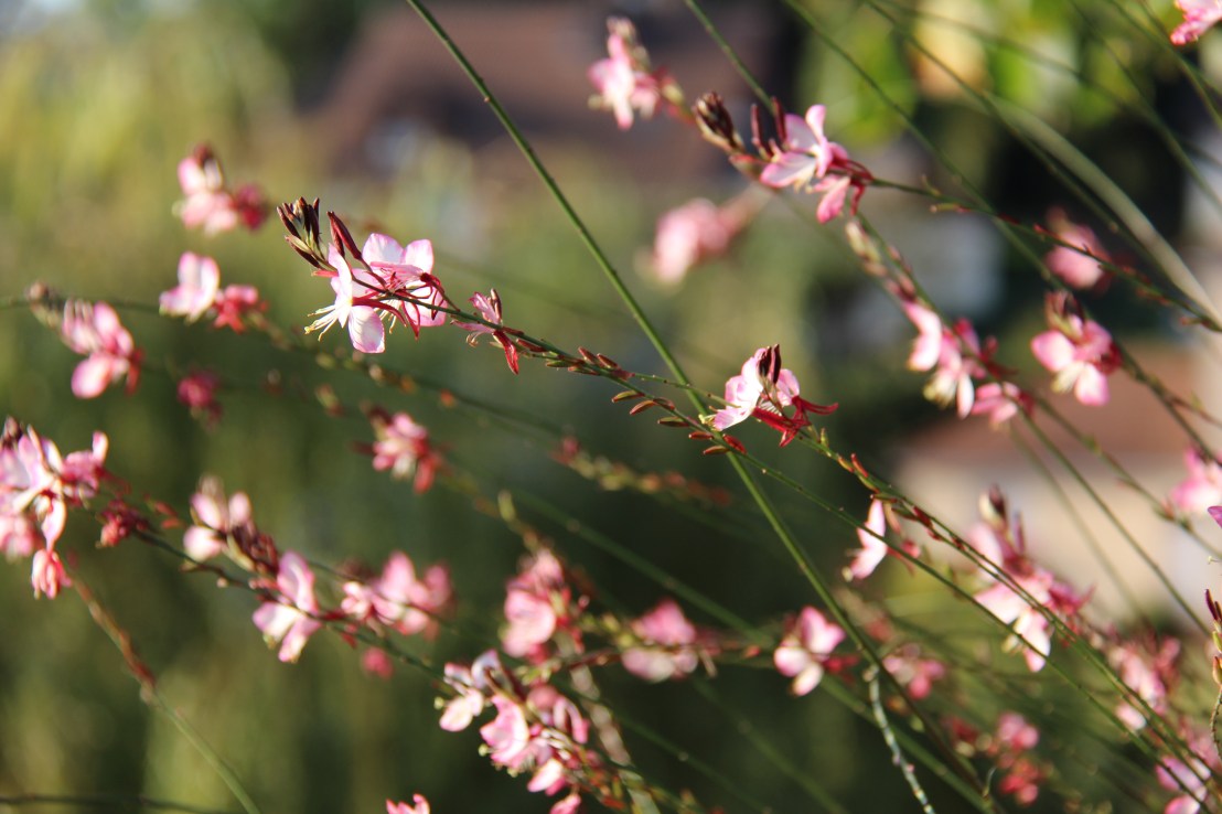 AC72B422-B10E-45A2-BD83-305DEC65DA69