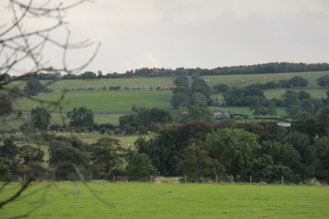 B98845F4-22FC-490B-8D28-AC0F18F9187F