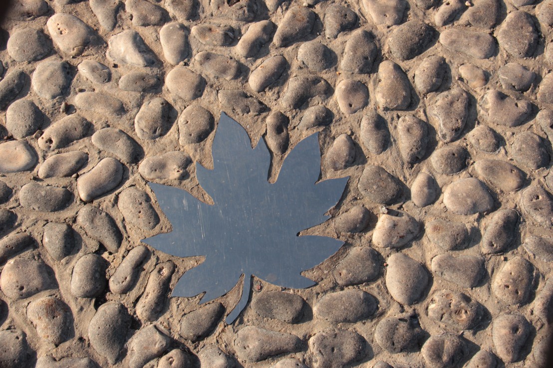 C9E993CA-D03E-4BD2-A702-D9C50858CB15