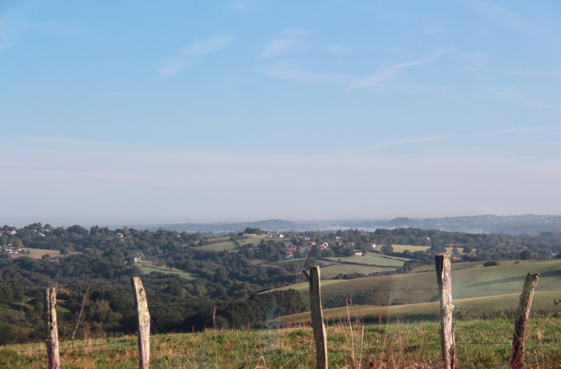 E4DB908A-72FB-4ACA-9803-98EB889D66B7