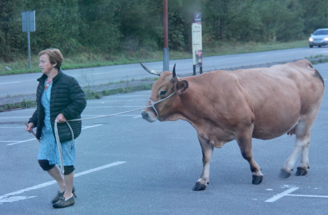 E8B753D3-D795-4533-BC5D-387EB17C5707