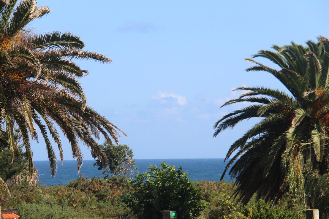 F65AD4C4-1850-4906-8F10-B76E4D272AC7