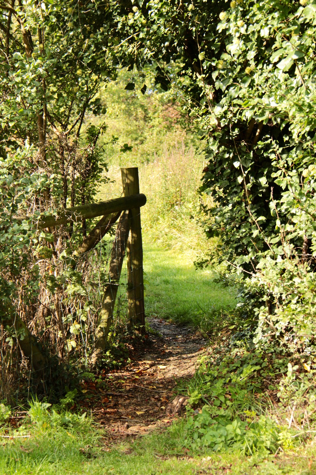 1FFCC9A3-6B51-4F9D-8402-00B205F0B5F0